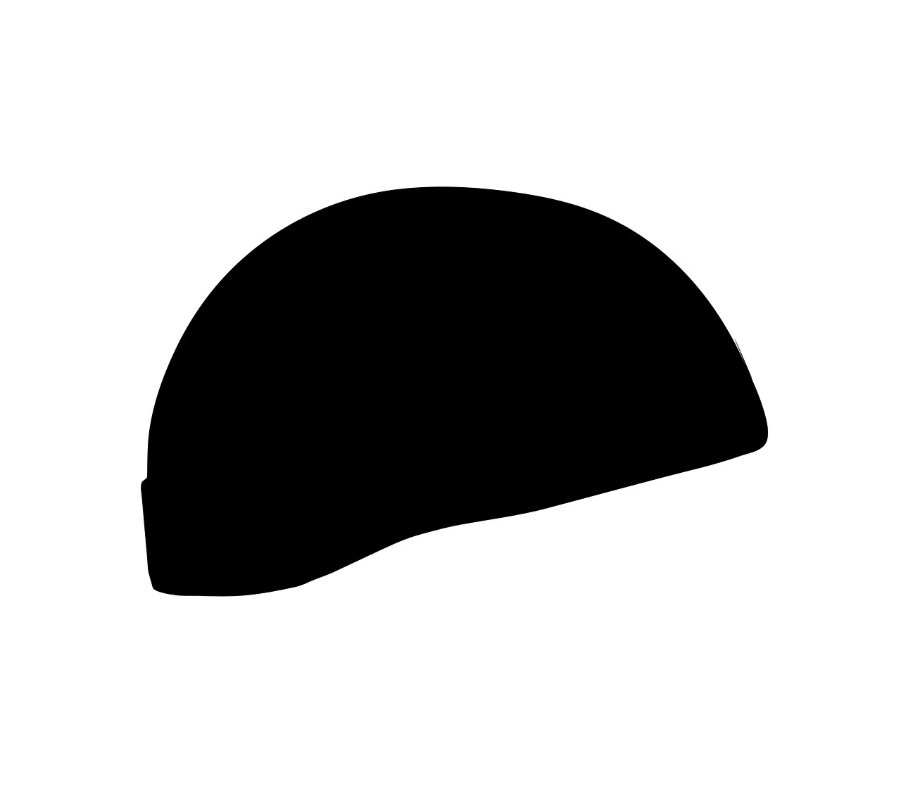 Inserted Image